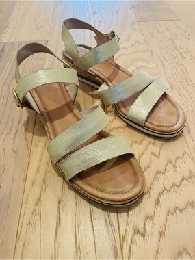 CASLON Women’s Gold Sandal Size 12m